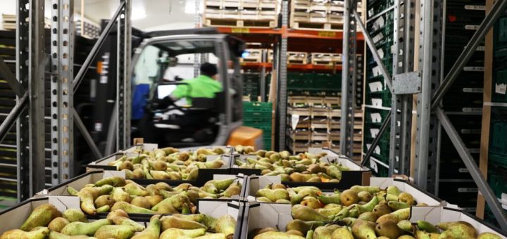 Zvýšenie efektívnosti ultra-chladného skladovania ovocia