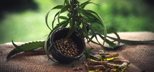 Logistika s vysokou hodnotou a vysokým rizikom