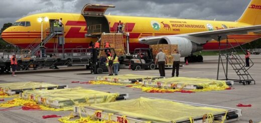 Neobyčajné globálne doručenia nákladu