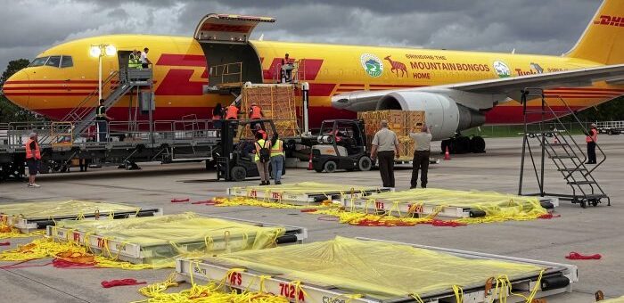 Neobyčajné globálne doručenia nákladu