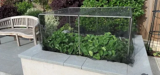 Ecommerce predajca zvyšuje plnenie objednávok