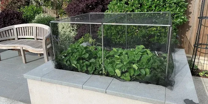 Ecommerce predajca zvyšuje plnenie objednávok