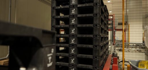 Nový kruhový paleta pre udržateľnú logistiku