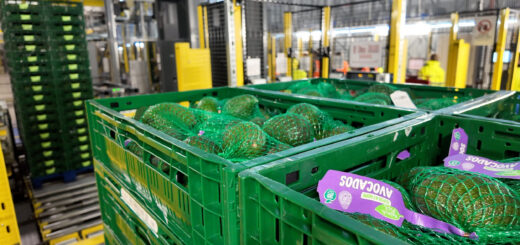 Bardon spája automatizáciu s odolnou logistikou čerstvých potravín