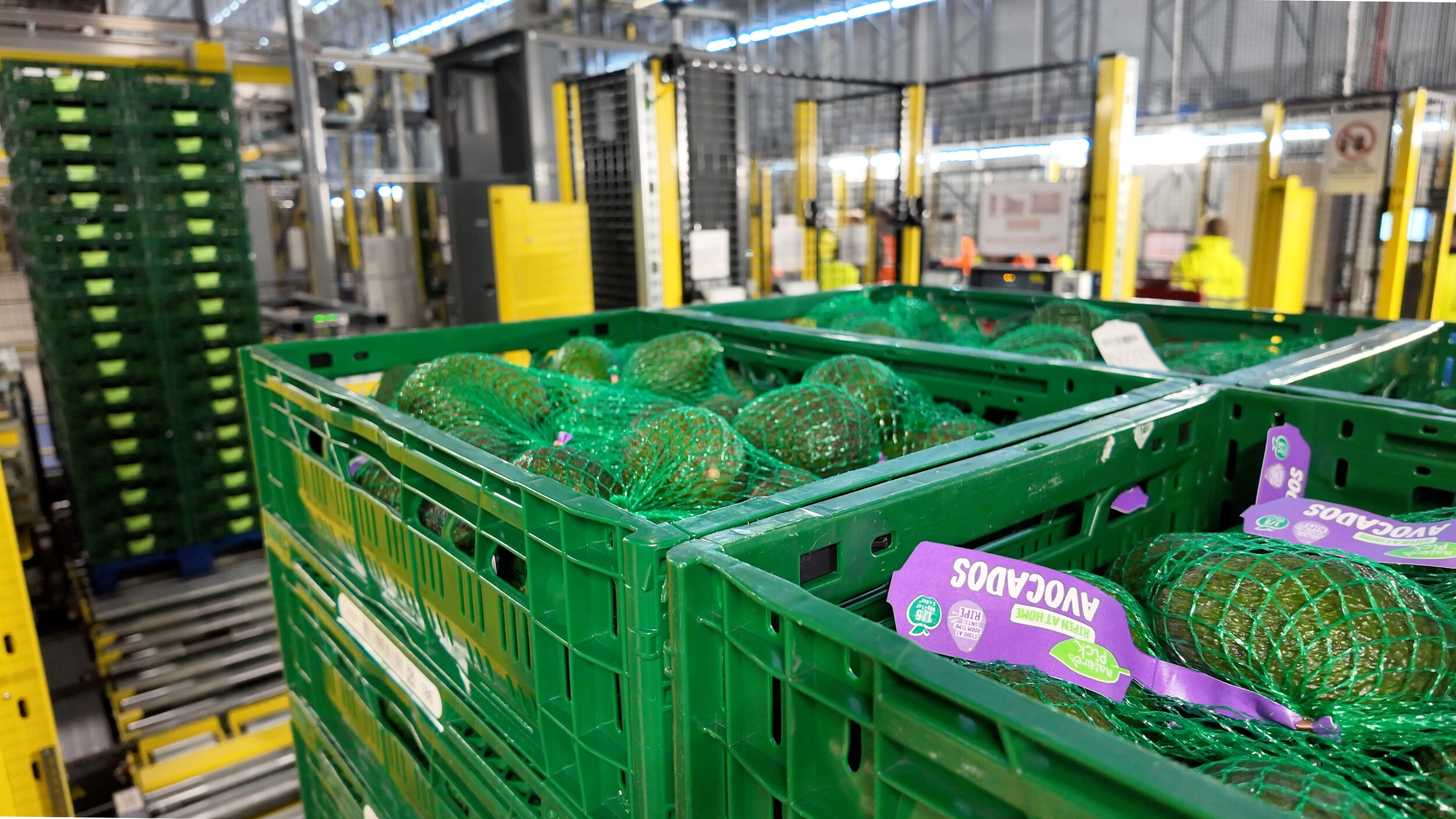 Bardon spája automatizáciu s odolnou logistikou čerstvých potravín